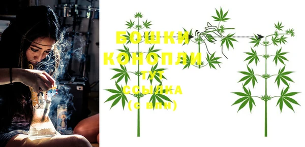 индика Вяземский