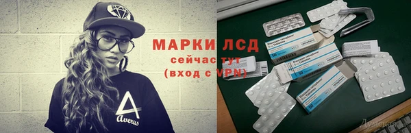 индика Вяземский