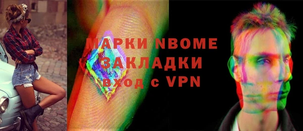 индика Вяземский