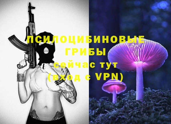 индика Вяземский
