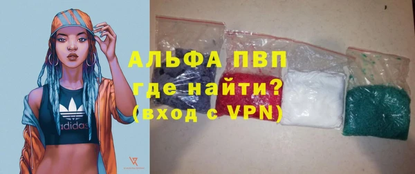 индика Вяземский