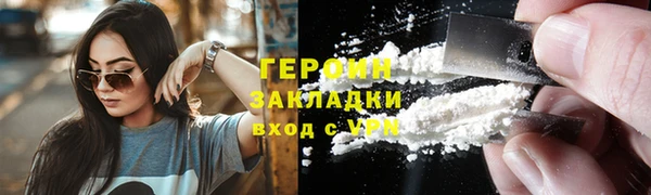 индика Вяземский