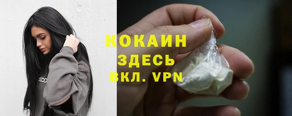 индика Вяземский