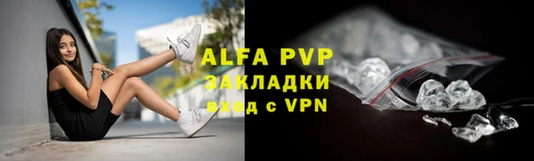 индика Вяземский
