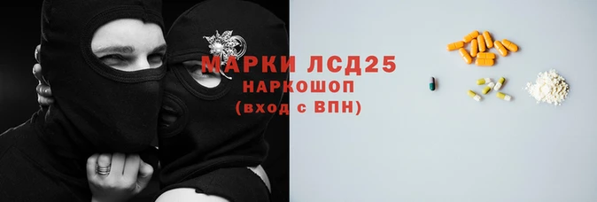 индика Вяземский
