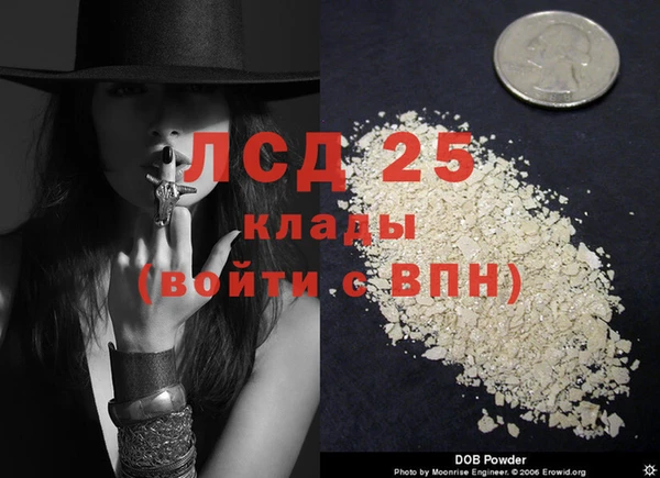 Альфа ПВП Вязники