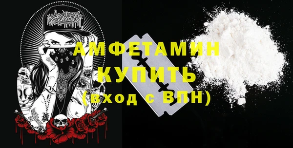 индика Вяземский