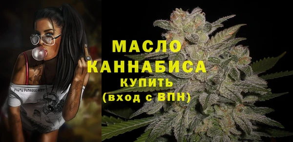 индика Вяземский