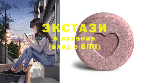 индика Вяземский