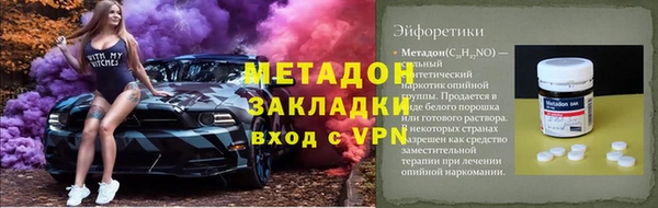 индика Вяземский